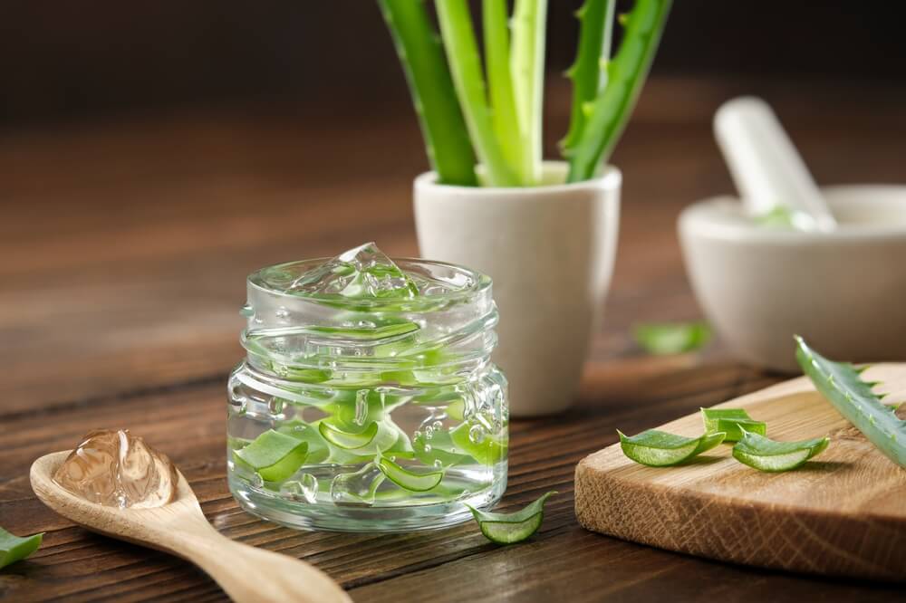 Aloe Vera im Glas als Geld