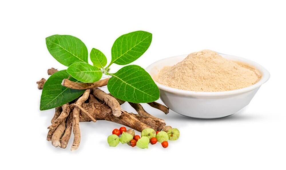 Ashwagandha-Wurzel, Pflanze und Pulver in einer Schüssel