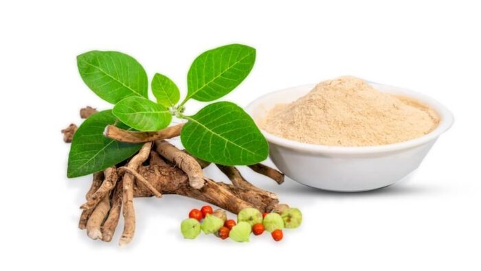 Ashwagandha für Schlaf, Stress und Muskelaufbau: Wirkung, Risiken und was wirklich hilft
