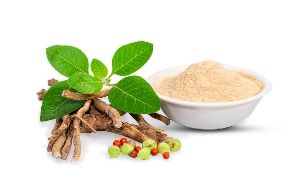 Ashwagandha für Schlaf, Stress und Muskelaufbau: Wirkung, Risiken und was wirklich hilft