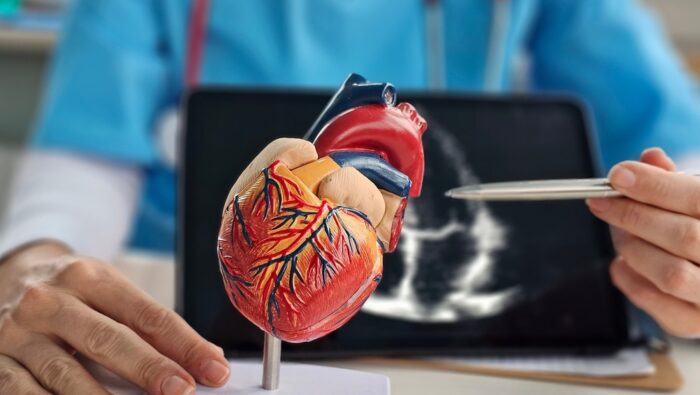 Die beliebtesten Herzchirurgen 2025