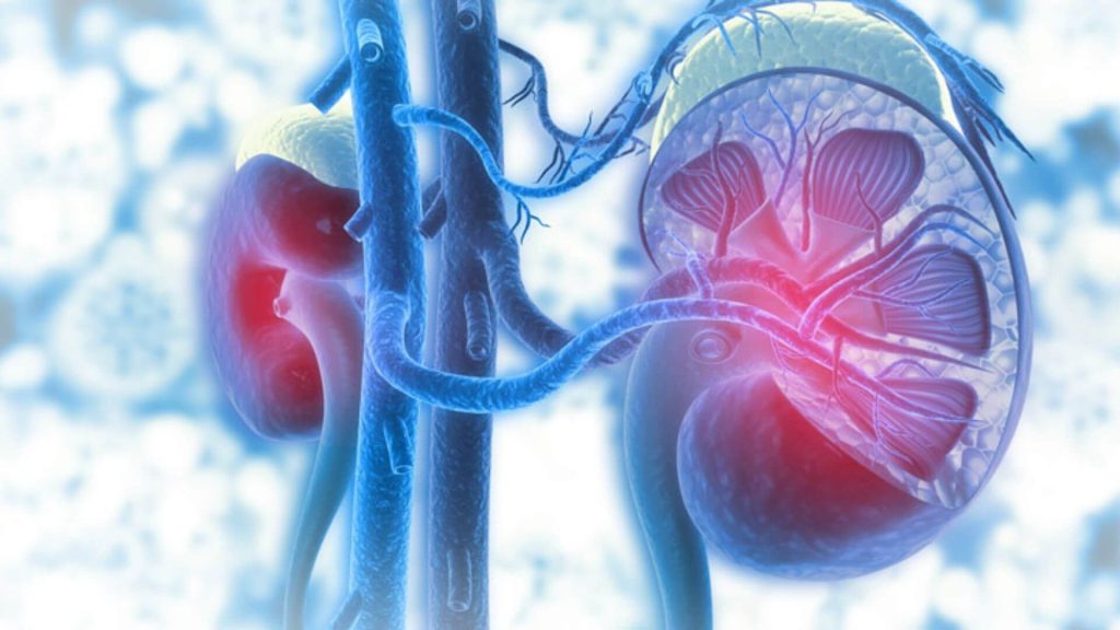 Die beliebtesten Nephrologen in Österreich Patients Choice Award