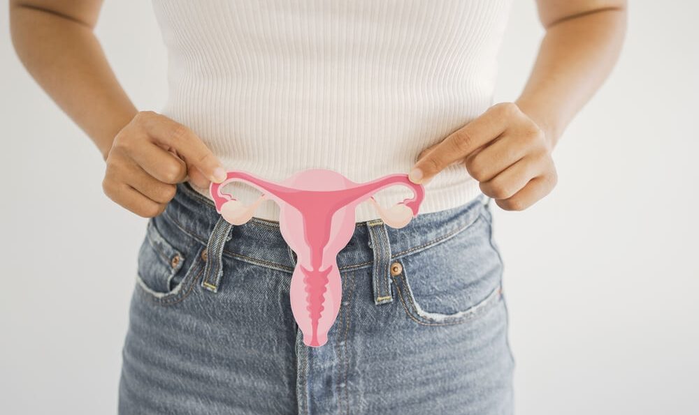 Frau hält eine Abbildung eines Uterus