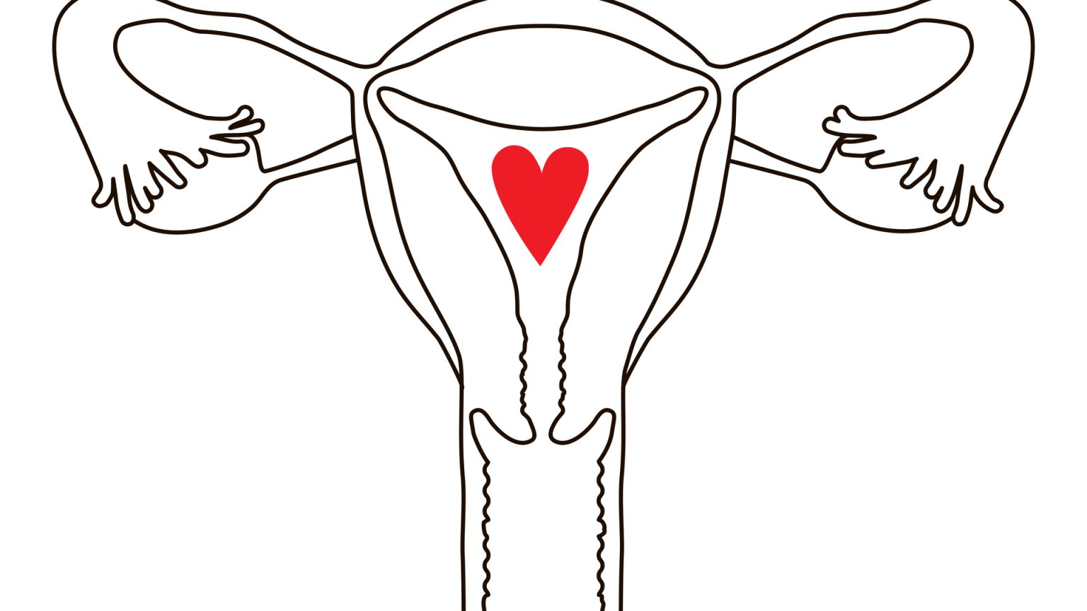 Myome DocFinder Wissensmagazin